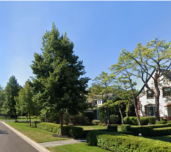 LAKE FOREST HAVEN