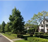 LAKE FOREST HAVEN, photo 1